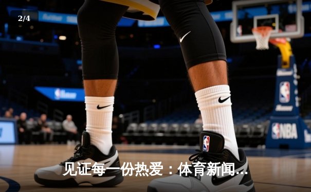 见证每一份热爱：体育新闻网，连接全球体育脉搏的演变的黄金时代 - 2